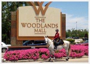 Mounted Patrol at The Woodlands