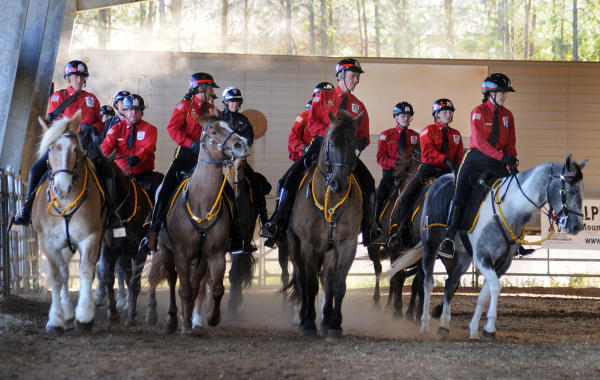 A&O Mounted Patrol Training